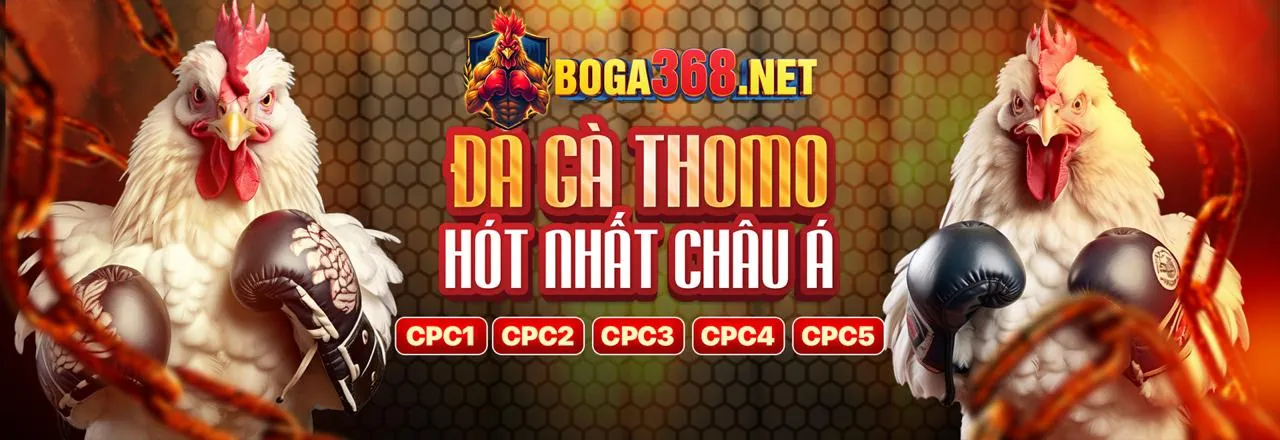 Hình ảnh tổng quan nền tảng m788 link vào an toàn